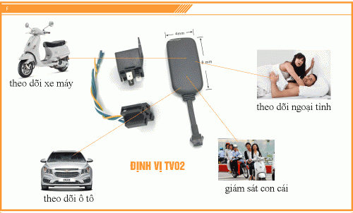 dinh vi do son