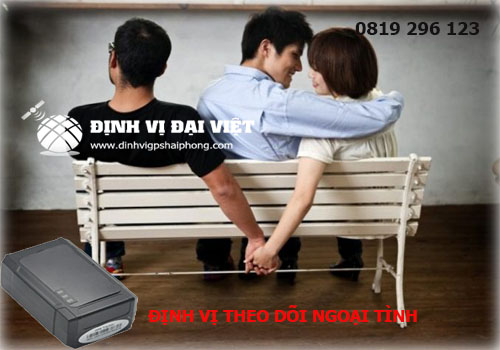 chip dinh vi nam sach