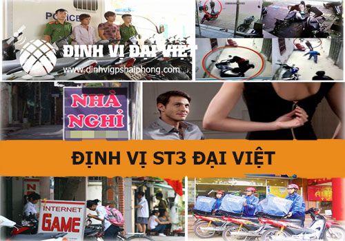 chip dinh vi nam dinh