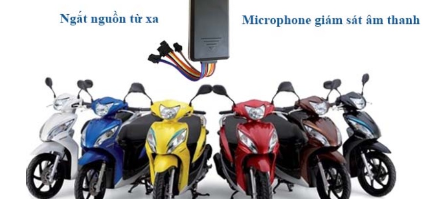 lap dinh vi xe may quan kien an