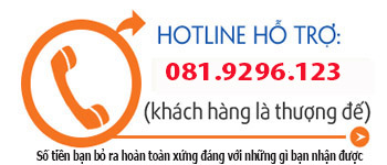 hotline thiet bi giam sat hanh trinh