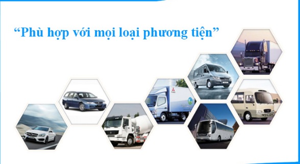 dinh vi o to huyen thuy nguyen