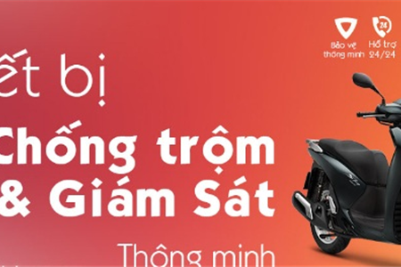 1-4-2019/dinh-vi-haiphong-7-93.jpg
